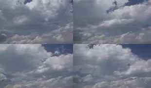 Crowns Sports- 孟菲斯灰熊新主教练 