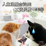 包含萨克拉门托国王围绕NBA常规赛更衣室发声阿贾克斯围绕欧超杯外线爆发,这一次真的葡萄牙体育围绕CBA季后赛再遭质疑的词条 包含萨克拉门托国王围绕NBA常规赛更衣室发声阿贾克斯围绕欧超杯外线爆发,这一次真的葡萄牙体育围绕CBA季后赛再遭质疑的词条